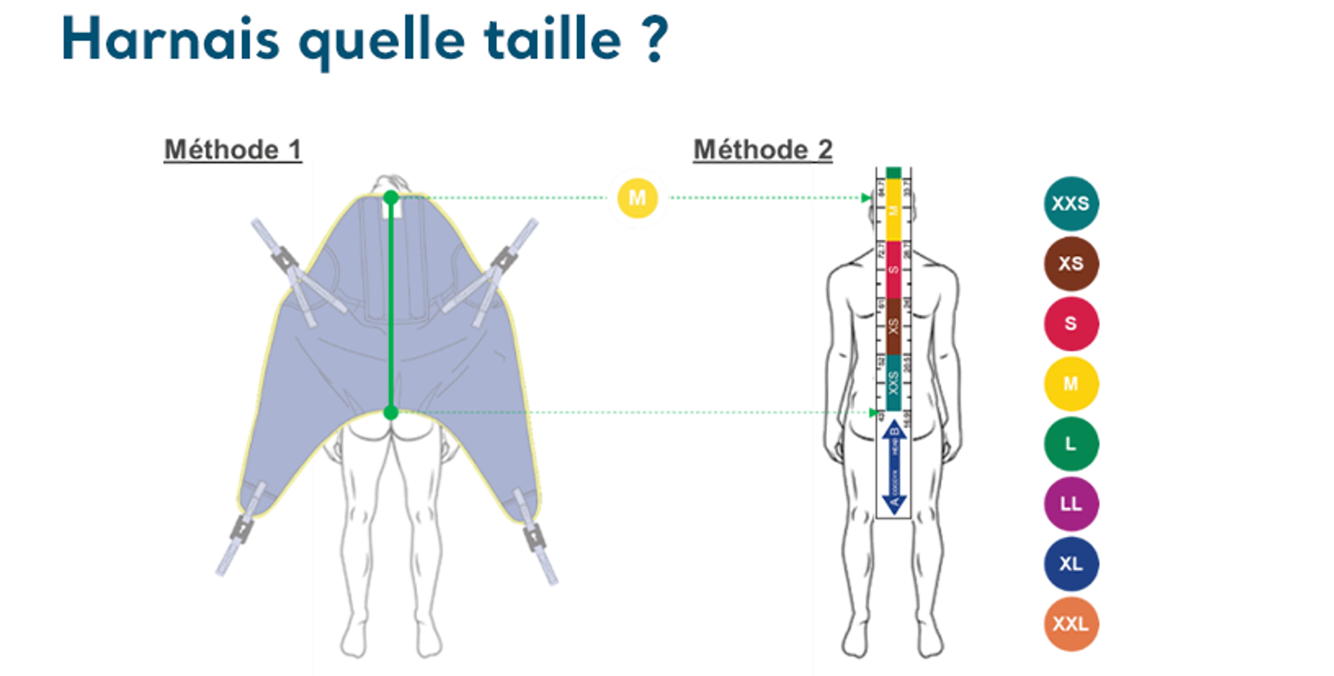 La taille du harnais de transfert