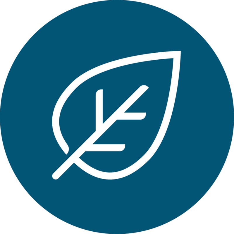 Leaf environment icon blue