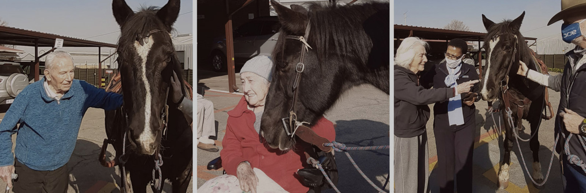 People taking care of horses